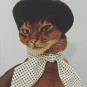 Meet your Posher, Maddi